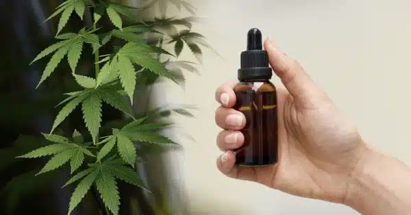 Découvrir le CBD et ses bienfaits pour la santé