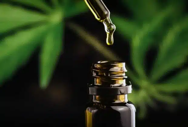 Quelles sont les raisons d’utiliser de l’huile de CBD bio