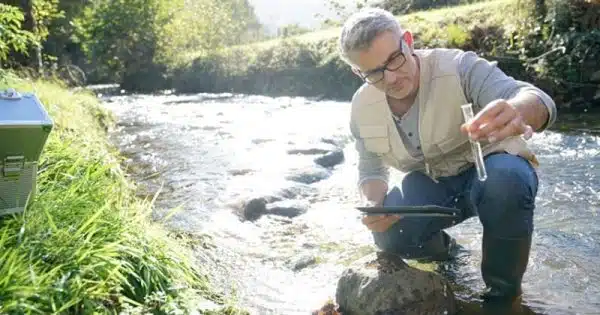 Tout savoir sur les nouveaux métiers de la transition écologique