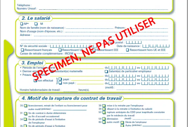 Attestation pôle emploi