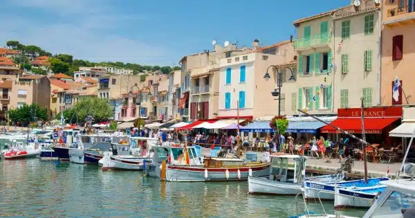 cassis