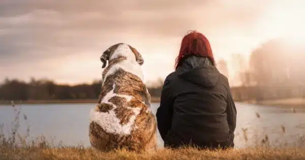 Les avantages de la consultation quotidienne d'un blog dédié aux animaux...