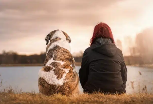 Les avantages de la consultation quotidienne d'un blog dédié aux animaux...