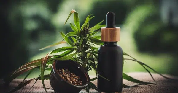 Quelques conseils pour consommer les fleurs de CBD