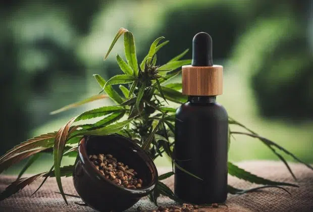 Quelques conseils pour consommer les fleurs de CBD